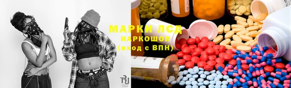 сатива Абинск