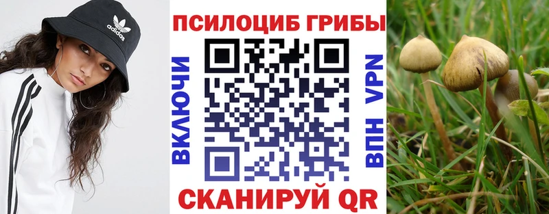 купить наркотик  Кадников  Псилоцибиновые грибы MAGIC MUSHROOMS 